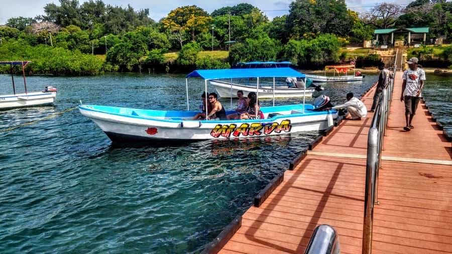 Mombasa: Kisite Park Private Cruise with Breakfast and Lunch - Why Kisite Marine Park and Wasini Island work so well together