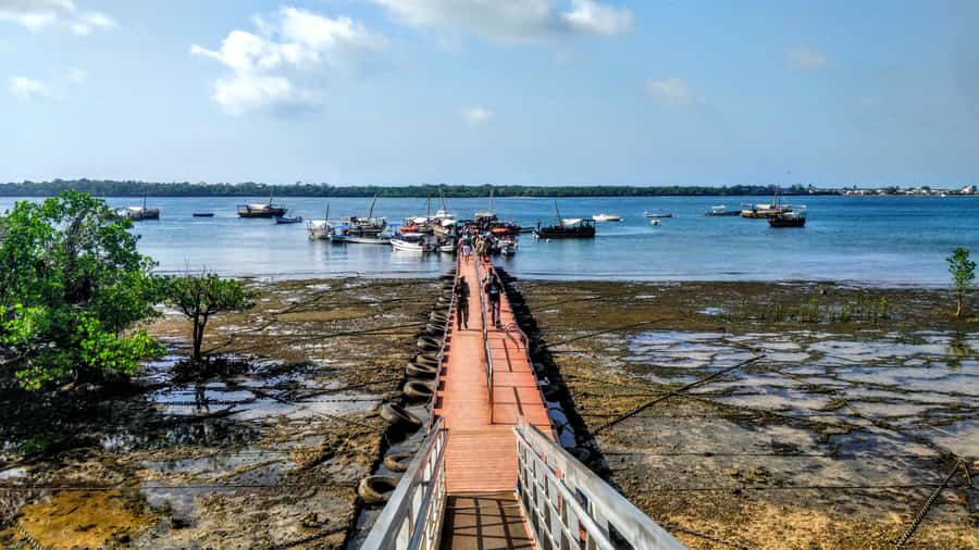 Mombasa: Kisite Park Private Cruise with Breakfast and Lunch - Morning dolphin hunt plus Swahili breakfast on board