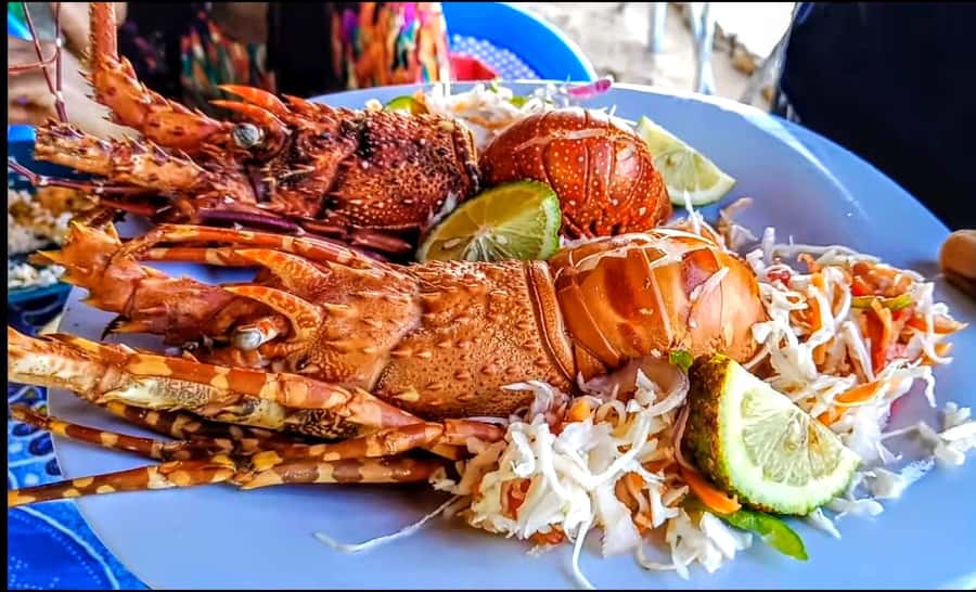 Mombasa: Kisite Park Private Cruise with Breakfast and Lunch - Shimoni Slave Caves: the hard stop that adds weight