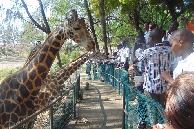 Mombasa Private City Tour & Haller park Sanctuary with sea food luch - Mombasa City Tour With Pickup, Private Driver-Guide, and Real Stops