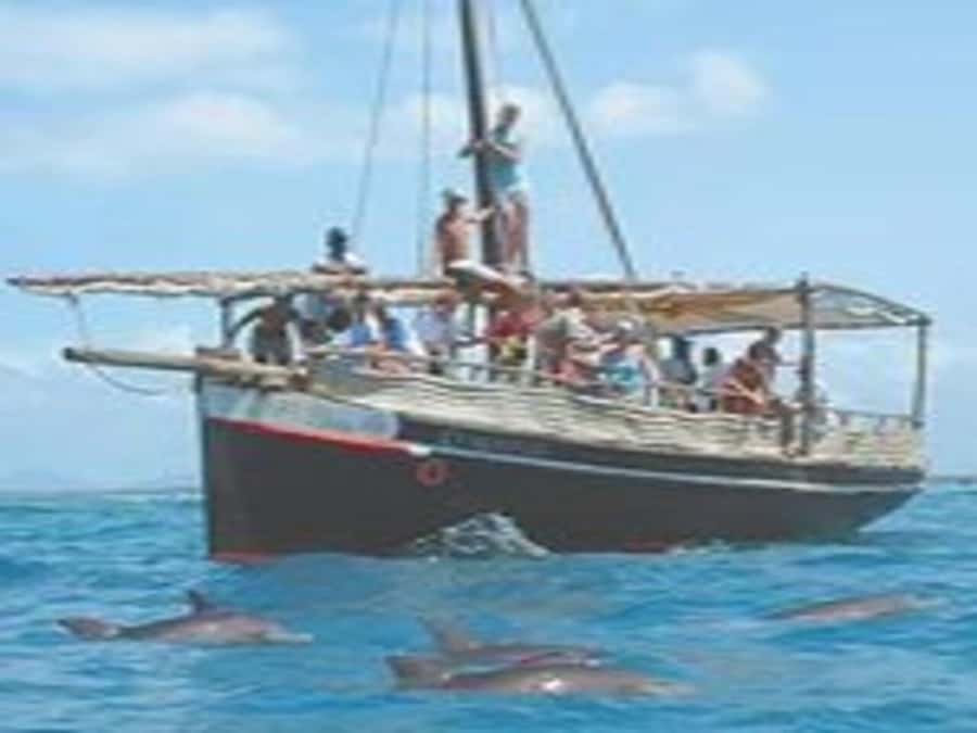 Mombasa: Snorkeling, Dolphin watching, seafood lunch. - Snorkeling at Kisite Mpunguti: reefs, guide support, and gear reality