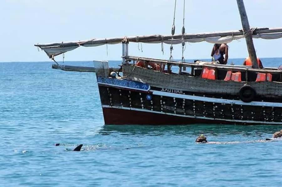 Mombasa: Snorkeling, Dolphin watching, seafood lunch. - Dolphin watching: scanning from the sea, not chasing them