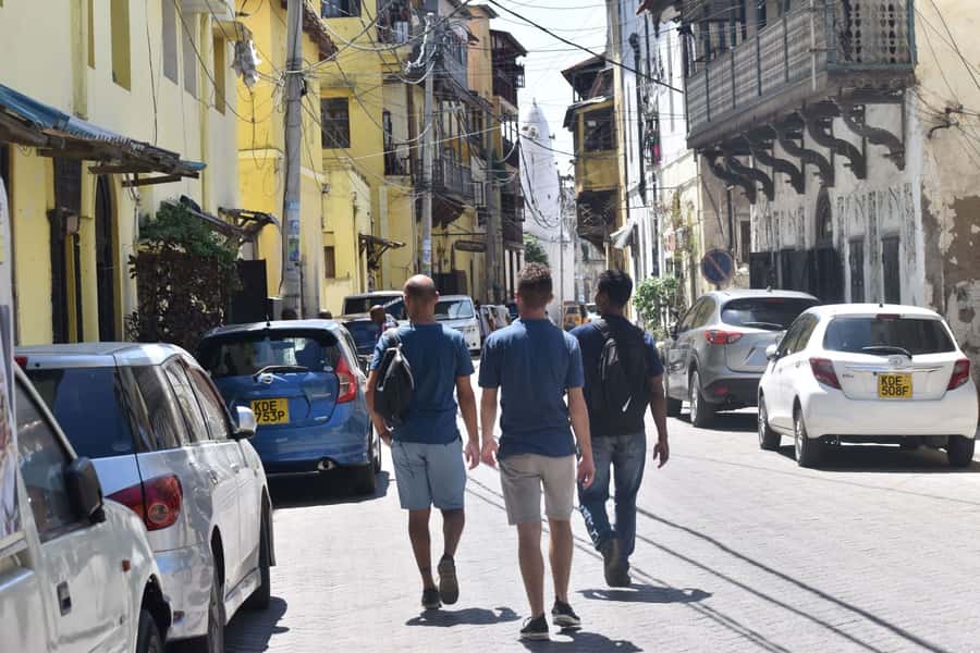 Mombasa Tour by Ghalib - Who this tour suits best