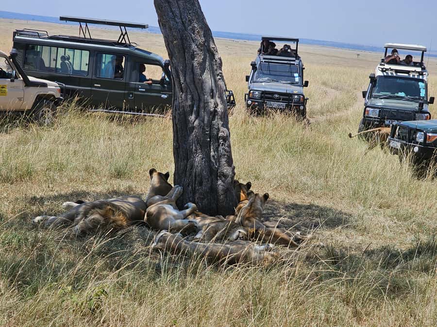 Mombasa: Tsavo East National Park Day Trip with Lunch - The Galana River and why “water nearby” changes the whole mood