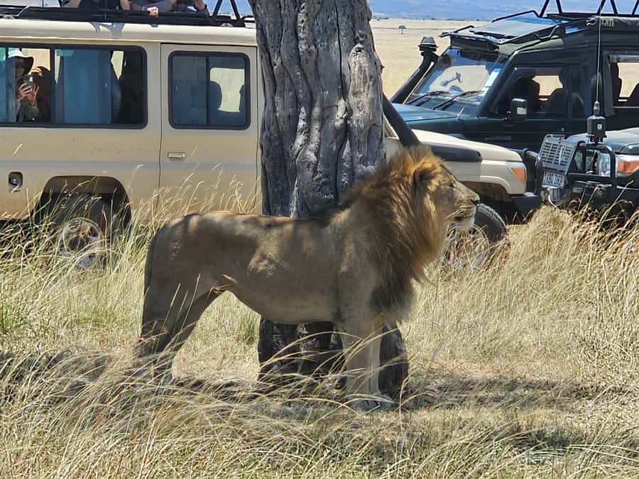 Mombasa: Tsavo East National Park Day Trip with Lunch - Lunch at the lodges in camp: hot food, real break