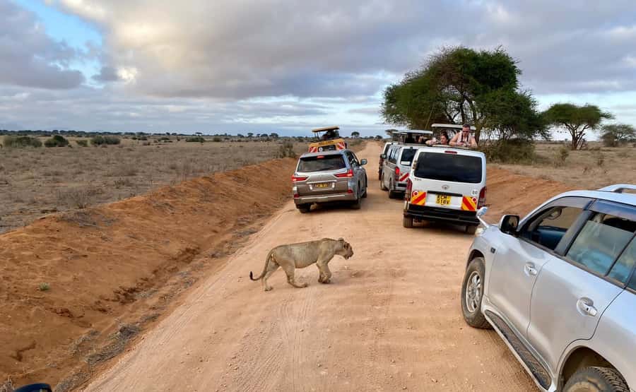 Mombasa: Tsavo East Ngutuni Sanctuary Overnight Safari - The drive to Ngutuni: what your driver-guide is doing while you’re watching
