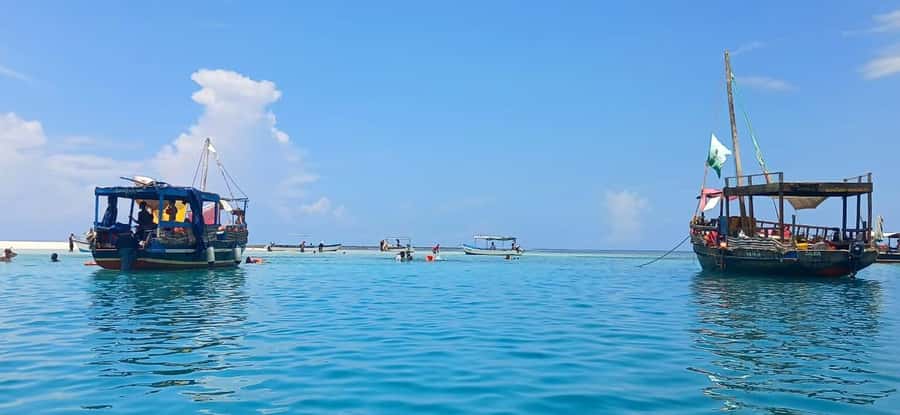 Mombasa: Wasini Dolphin Tour - Morning logistics from Mombasa and Diani (and why timing matters)