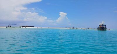 Wasini Dolphin Tour