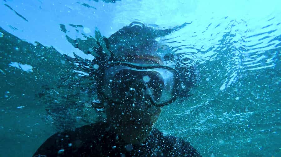 Mombasa: Wasini Dolphin Tour - Wasini Island: seafood lunch plus a Swahili village walk
