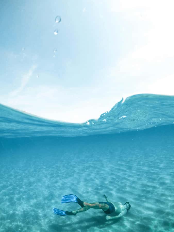 Mombasa: Wasini Dolphin Tour - What to bring so the day stays smooth