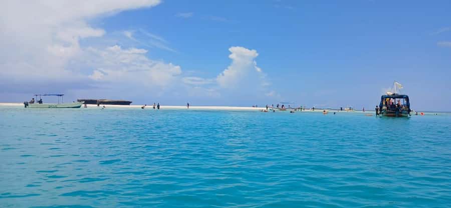 Mombasa: Wasini Dolphin Tour - Price and value: what $115 includes, and what changes the outcome
