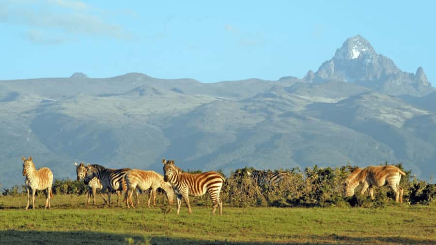 Mt Kenya: Full-day hiking tour from Nairobi - Mt Kenya Day Hike From Nairobi, what your day is really like