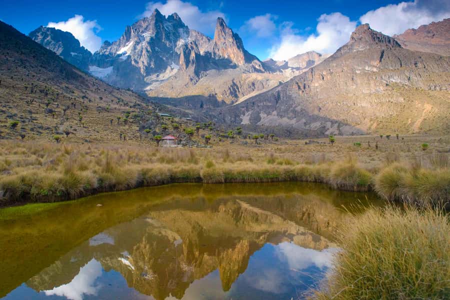 Mt Kenya: Full-day hiking tour from Nairobi - Entering Mt Kenya at Siri Moni Gate