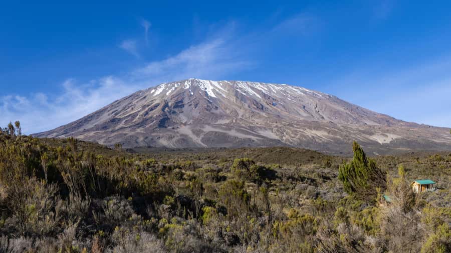 Mt. Kenya hike: 5 Days Hike to Lenana Peak Via Sirimon route - The Sirimon route to Old Moses Camp: forest, heathland, and an early start