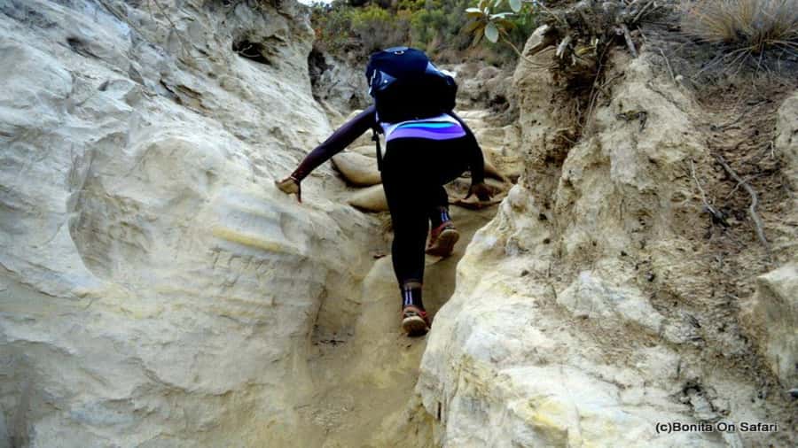 Mt Longonot National park Day Hike - The Crater Rim: Where the Hike Turns into the View
