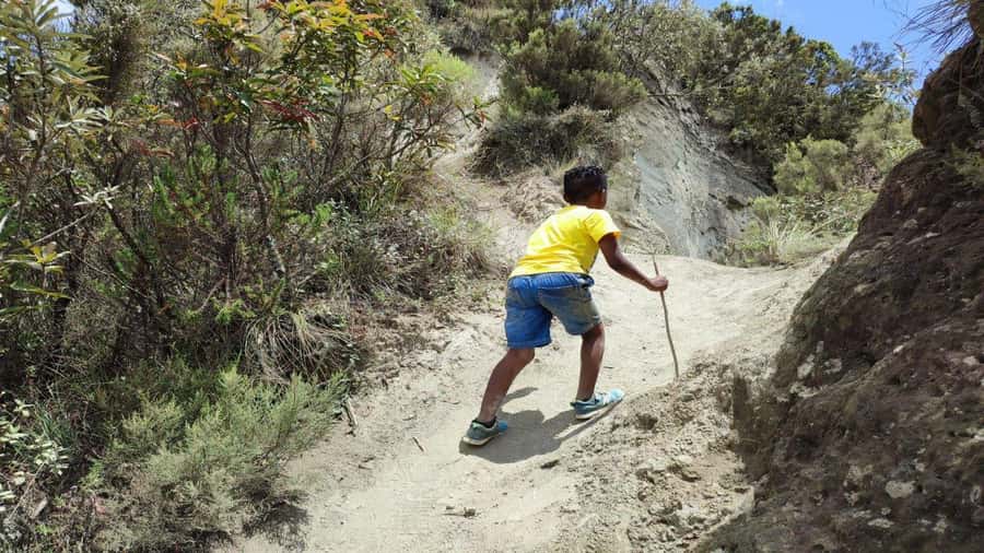 Mt Longonot National park Day Hike - Leaving Nairobi: Pickup, a Quick Rift Valley Pass, and Getting Ahead of Traffic