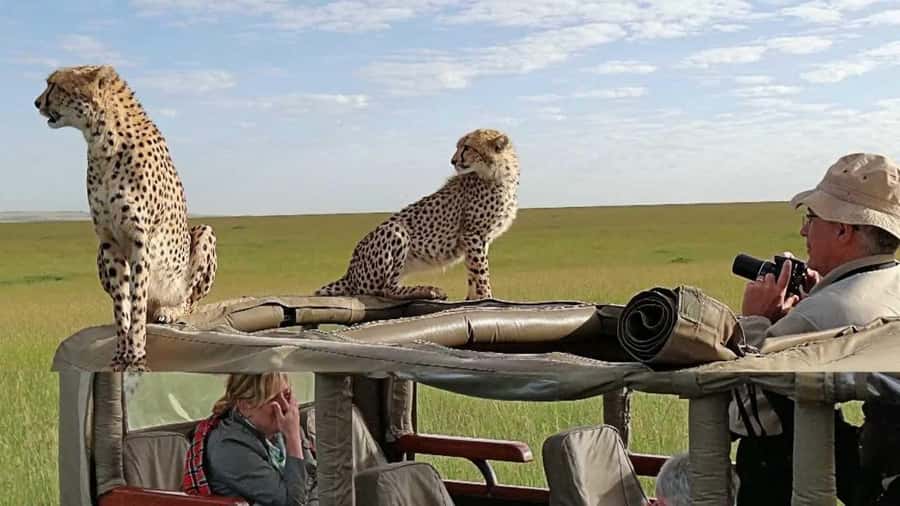 Nairobi: 3-Day Maasai Mara Group Tour with 4X4 Jeep Safari - Key points to know before you go
