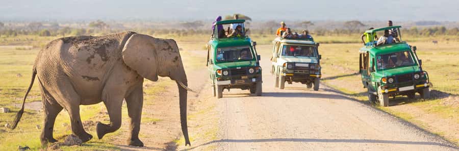Nairobi: 3-Day Maasai Mara Group Tour with 4X4 Jeep Safari - Back to Nairobi on day 3 via Narok or MaiMahiu