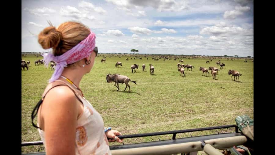 Nairobi: 3-Day Maasai Mara Group Tour with 4X4 Jeep Safari - Food, drinks, and meal value on safari days