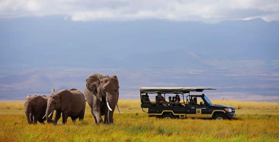 Nairobi: 4-Day Maasai Mara & Lake Nakuru Camping Safari - Nairobi to the Great Rift Valley viewpoint, then straight into Mara mode