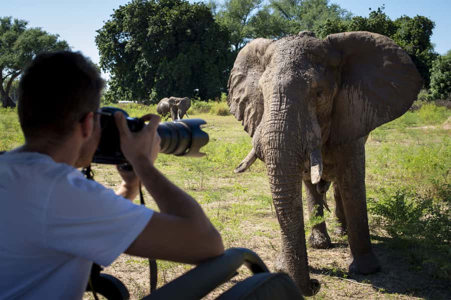 Nairobi: 4-Day Maasai Mara & Lake Nakuru Camping Safari - Maasai Mara full-day game drive: lions, cheetahs, elephants, and the “river hotspot” feeling