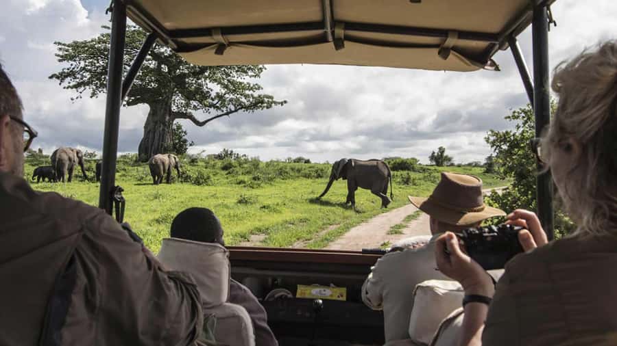 Nairobi: 4-Day Maasai Mara & Lake Nakuru Camping Safari - How the safari van and timing shape your sightings