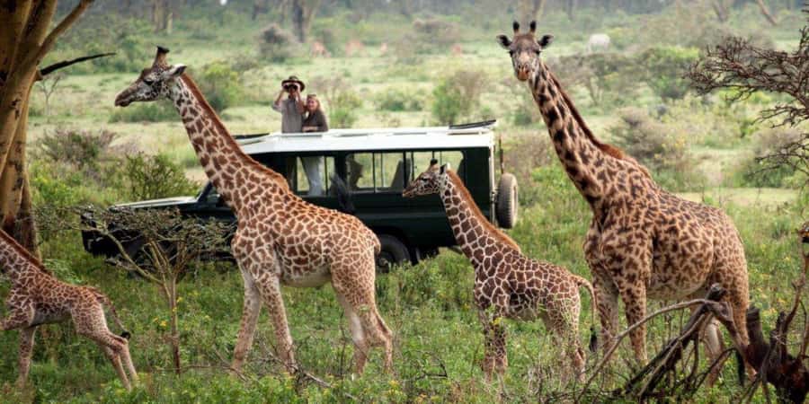 Nairobi: 4-Day Maasai Mara & Lake Nakuru Camping Safari - Optional extras: hot air balloon, Naivasha boat cruise, and Masai village