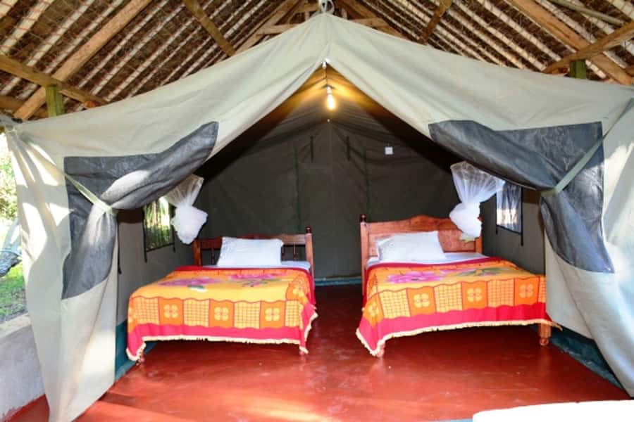 Nairobi: 4 Day Masai Mara and Lake Nakuru Camping Safari - Where comfort lands: tents with electricity, bathrooms, and the occasional snag
