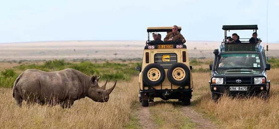 Nairobi: 4 Days Masai Mara & Lake Nakuru 4WD Camping Safari - Who this safari suits best, and who should reconsider