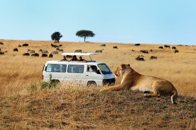 Nairobi Airport Layover Half Day Tour Nairobi National Park - Money, Water, and Lunch: The Practical Stuff That Changes the Day