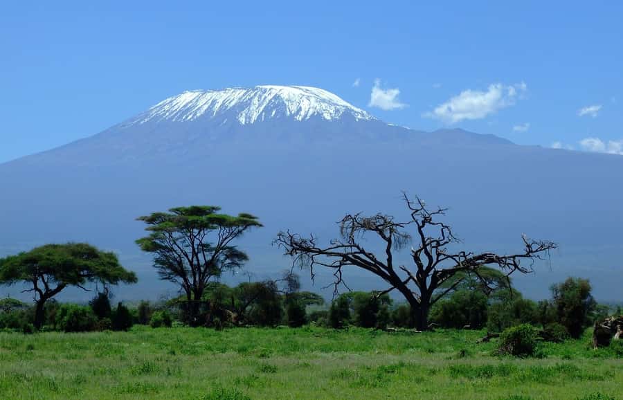 Nairobi: Amboseli National Park Tour & Maasai Village Visit - Key highlights worth your attention