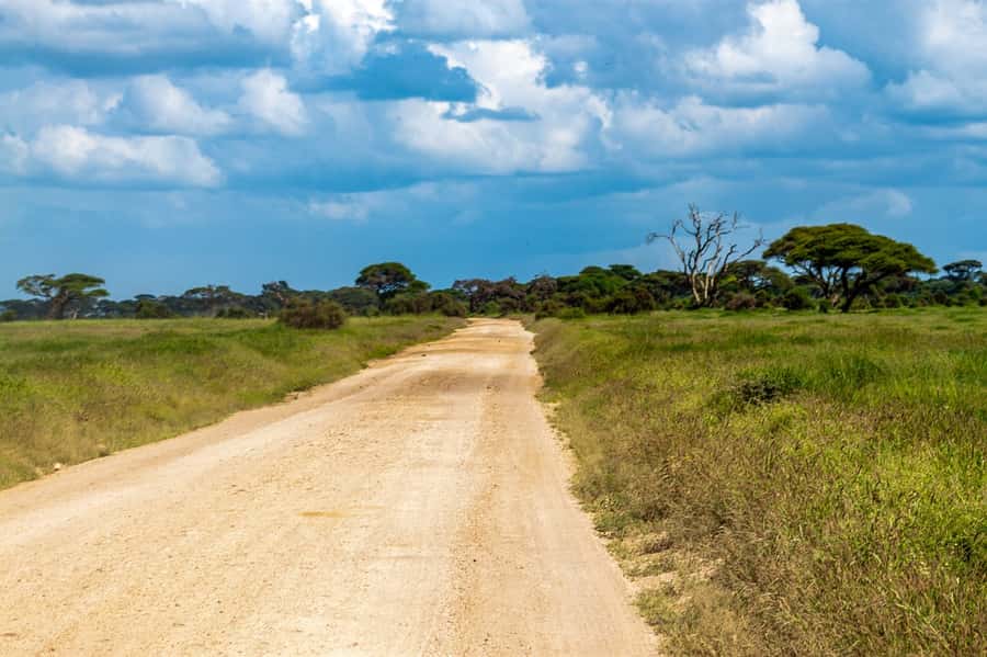 Nairobi: Amboseli National Park Tour & Maasai Village Visit - Why Amboseli Makes Sense for a 1-Day Trip From Nairobi