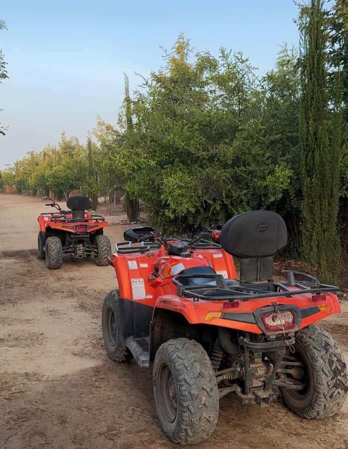Nairobi: ATV/Quad Bike Wildlife Safari with Transfers & meal - Who should book, and who might prefer a different safari style