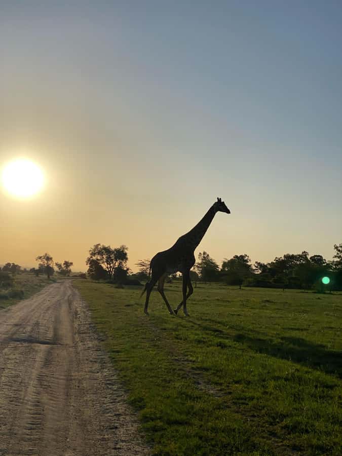Nairobi: ATV/Quad Bike Wildlife Safari with Transfers & meal - Safety briefing, helmets, and riding instructions you actually need