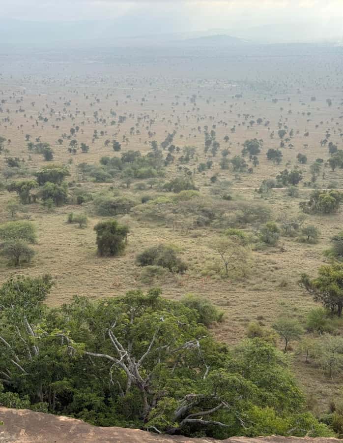 Nairobi: ATV/Quad Bike Wildlife Safari with Transfers & meal - Wildlife spotting you can feel: giraffes, zebras, antelopes, and birds