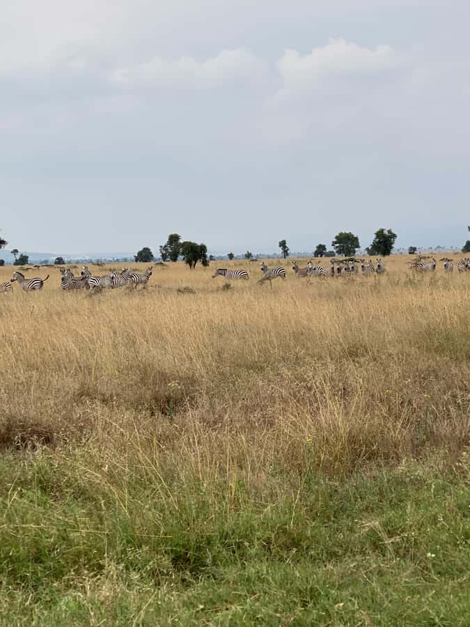 Nairobi: ATV/Quad Bike Wildlife Safari with Transfers & meal - Weather, clothing, and the one thing that makes the day easier