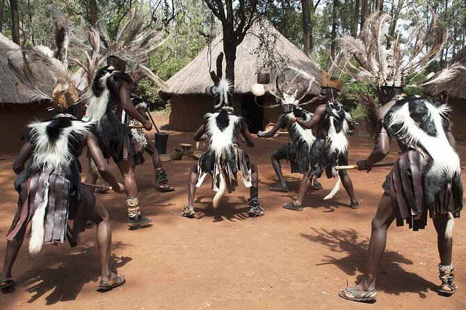 Nairobi city sights, Giraffe Encounters and Bomas Kenya Tour - Giraffe Centre: feeding Rothschild giraffes in a semi-wild setting