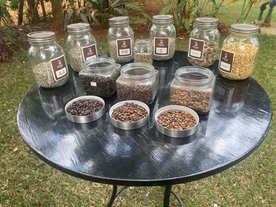 Nairobi: Coffee Factory and Farm Tour with Transfer - Getting from Nairobi to Limuru: the transfer that sets the tone