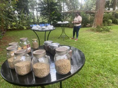 Coffee Factory and Farm Tour with Transfer