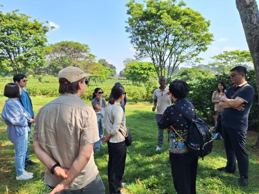Nairobi: Coffee farm tour with pick up - Key things I’d watch for on the Fairview coffee tour