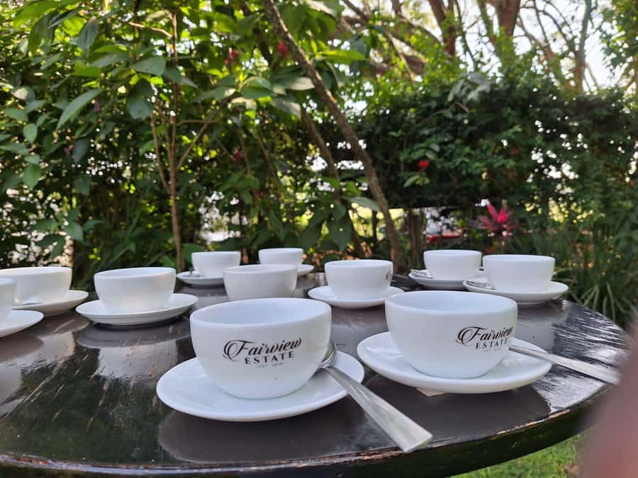 Nairobi: Coffee farm tour with pick up - Fairview Estate: a practical look at how Kenyan coffee gets made