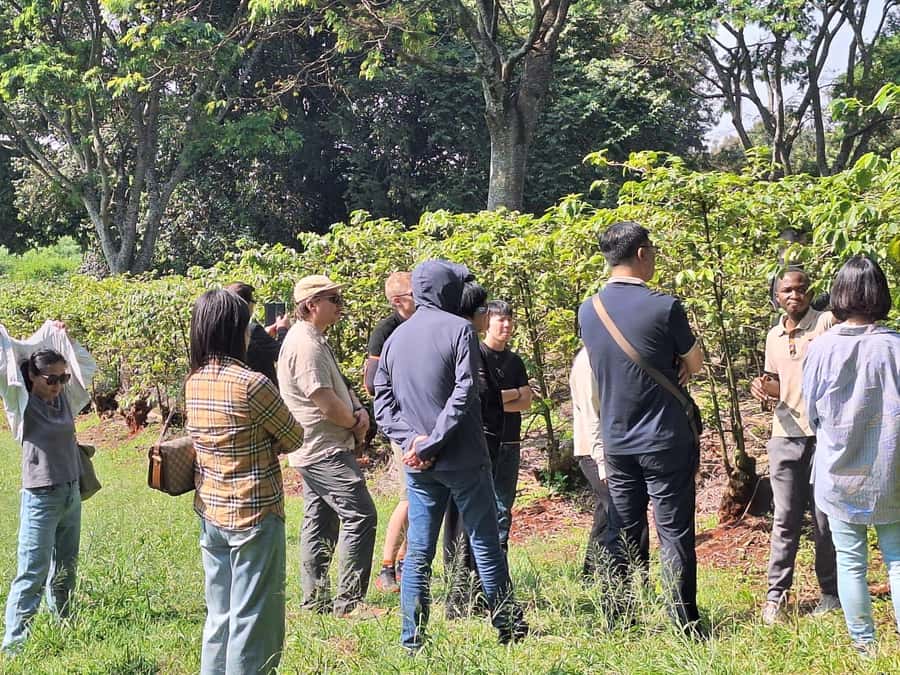 Nairobi: Coffee farm tour with pick up - Inside the processing center: sorting, roasting, and grinding