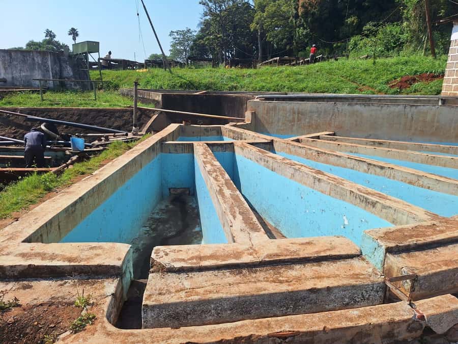 Nairobi: Coffee farm tour with pick up - Who this tour is best for