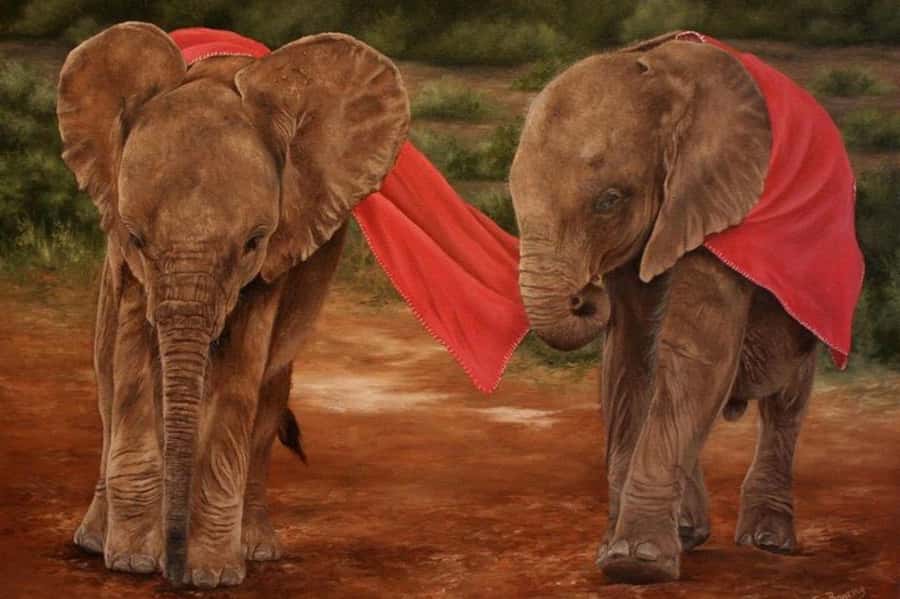 Nairobi: David Sheldrick Elephant Orphanage Visit - Entering David Sheldrick: the rope-line setup you should understand