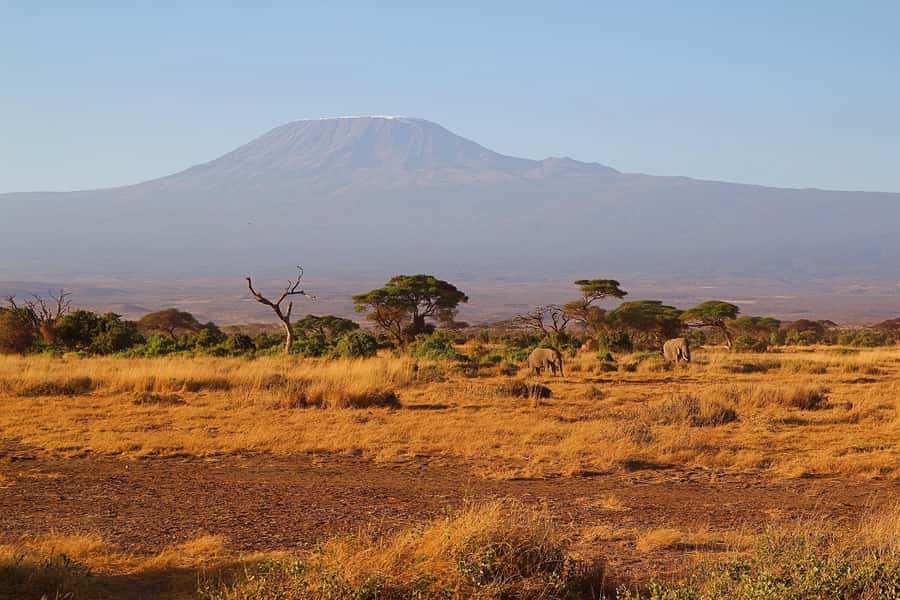 Nairobi: Day Tour to Amboseli National Park & Maasai Village - Price and logistics: what $75 really buys you