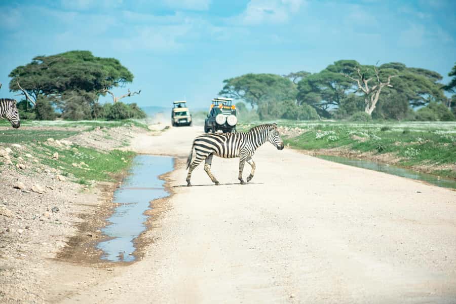 Nairobi: Day Tour to Amboseli National Park & Maasai Village - Best fit: who will enjoy this day trip most