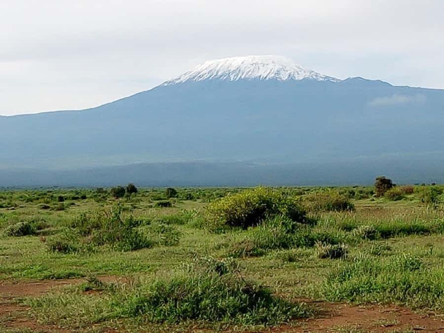 Nairobi: Day Trip to Amboseli National Park - Game Drives With Real Rules: Photos, Distance, and Big-Animal Odds
