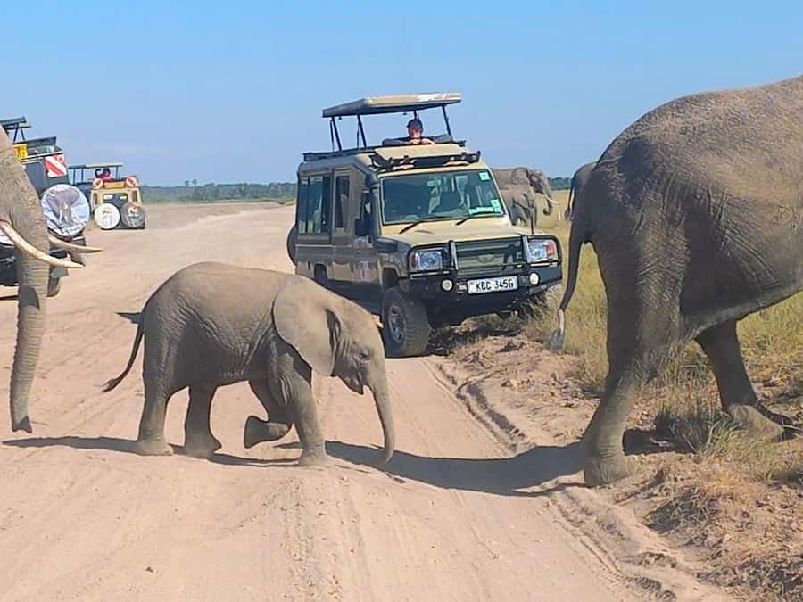 Nairobi:Day trip to Amboseli National park & Maasai village - From Nairobi Pickup to Amboseli: the Kilimanjaro-first feeling