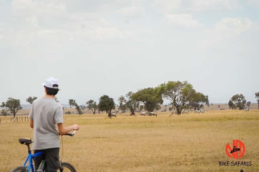 Nairobi: E-Bike/Cycling Wildlife Safari with Transfer & meal - Nairobi E-Bike Wildlife Safari, what this really feels like