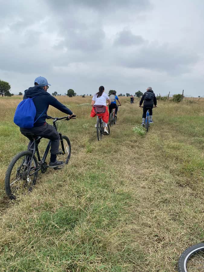 Nairobi: E-Bike/Cycling Wildlife Safari with Transfer & meal - The conservancy setting: close views without the big, crowded feel